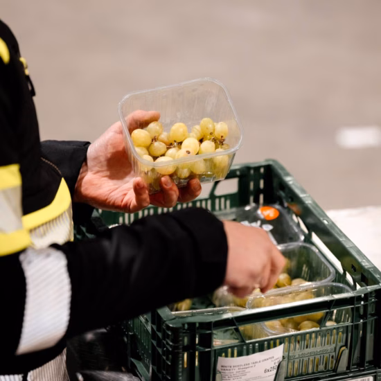Eine Person in Lagerkleidung legt im Rahmen eines logistischen Sortierprozesses eine Verpackung mit kleinen Lebensmitteln in eine Kiste.