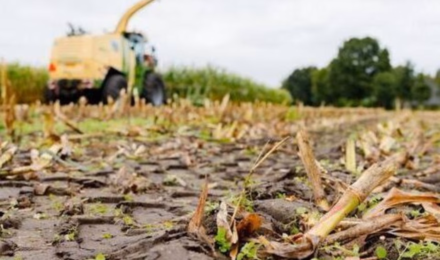 Abgeerntetes Ackerland mit Ernterückständen und einer Landmaschine bei der Arbeit auf dem Feld.