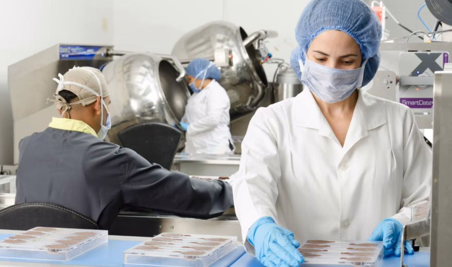 Medewerkers voeren een visuele controle uit van voedingsproducten in een productieomgeving.