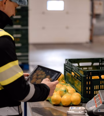 Een medewerker gebruikt een iPad om foto’s te maken van sinaasappels tijdens een kwaliteitscontrole, terwijl hij de producten nauwkeurig onderzoekt.