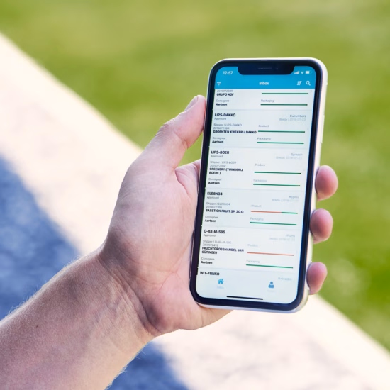 Eine Person betrachtet auf einem Smartphone eine mobile Anwendung mit einer Übersicht über digitale Meldungen und Aufgaben.