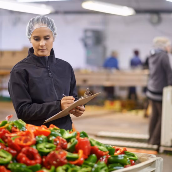 Der Mitarbeiter führt an einer Produktionslinie in einer Lebensmittelverarbeitungsumgebung Qualitätskontrollen an frischen roten und grünen Paprikaschoten durch, wobei der Schwerpunkt auf Lebensmittelsicherheit und Qualitätssicherung liegt.