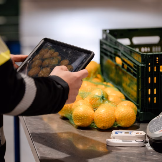 Ein Mitarbeiter prüft Zitrusfrüchte mit einem Tablet an einer Wiege- und Verpackungsstation in einer Logistikumgebung.