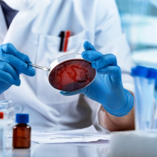Scientist working with petri dish.