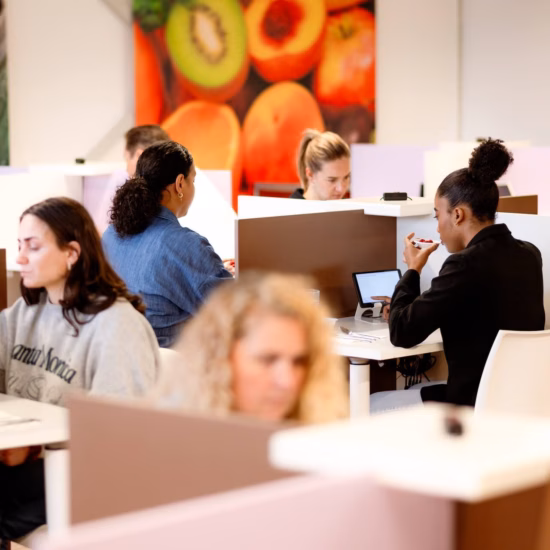Employees work on computers in a modern office environment featuring open workspaces and quiet zones.