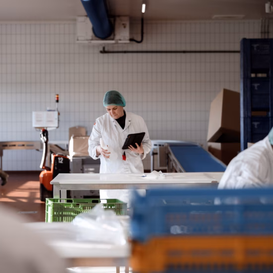 Mitarbeiter führen Qualitätskontrollen und Verarbeitungsvorgänge in einem Lebensmittelproduktionsraum mit Arbeitstischen und Produktkisten durch.