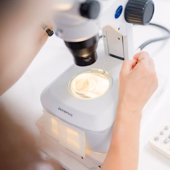 Ein Laborant untersucht im Rahmen der Qualitätskontrolle eine Probe unter dem Mikroskop.