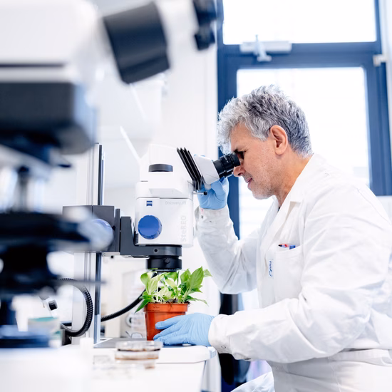 Ein Laborant untersucht eine Probe mit einem Mikroskop in einer modernen Laborumgebung. Das Bild zeigt Labordienstleistungen mit den Schwerpunkten Prüfung, Analyse, Qualitätskontrolle und Qualitätssicherung.