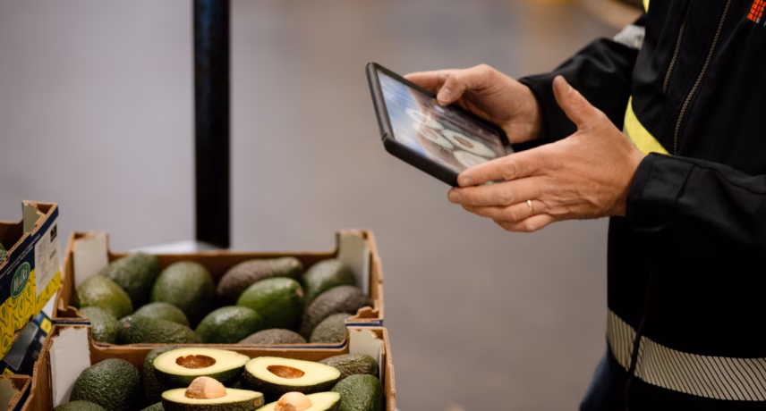 An inventory clerk scans avocados using a handheld tablet in a warehouse or distribution facility.