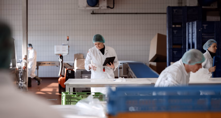 Medewerkers voeren kwaliteitscontrole en verwerking uit in een voedselproductieruimte met werktafels en productkratten.