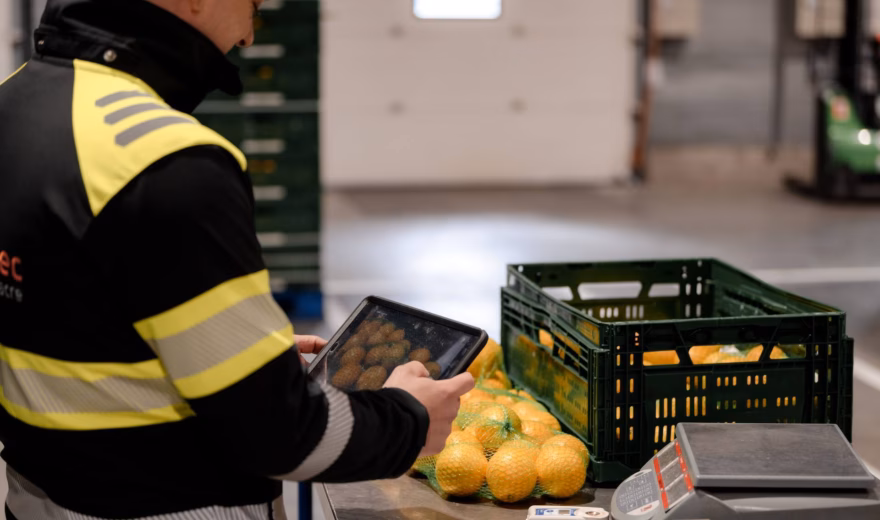 Een medewerker gebruikt een iPad om foto’s te maken van sinaasappels tijdens een kwaliteitscontrole, terwijl hij de producten nauwkeurig onderzoekt.