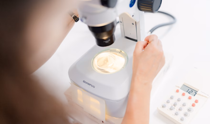 Ein Laborant untersucht im Rahmen der Qualitätskontrolle eine Probe unter dem Mikroskop.