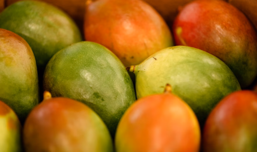 Groene en rood gekleurde mango's dicht bij elkaar in een fruitschaal of display.