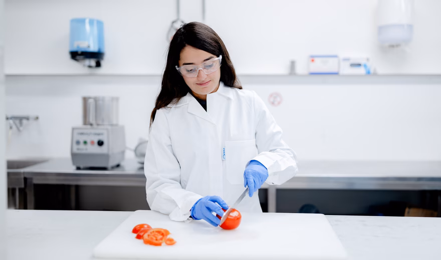 Ein Labormitarbeiter untersucht ein Lebensmittel auf einem Arbeitstisch in einer Laborumgebung. Das Bild zeigt Tests, Qualitätskontrolle und Analysen zur Gewährleistung der Produktsicherheit und der Einhaltung von Vorschriften.