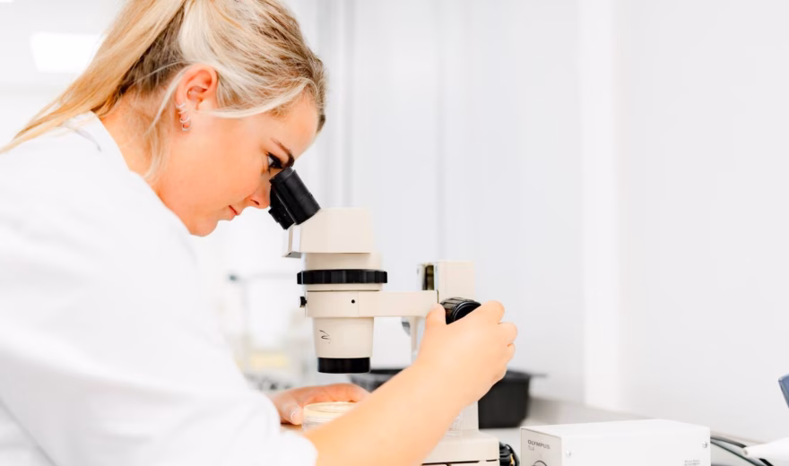 A woman is looking through a microscope at samples in a laboratory.